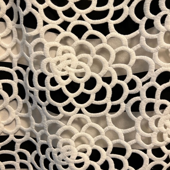 A.L.C.  Della Lace-Overlay Striped Pencil Skirt Size 6 - Picture 6 of 12